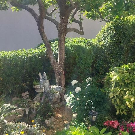 Palit Pahljina Apartments מראה חיצוני תמונה