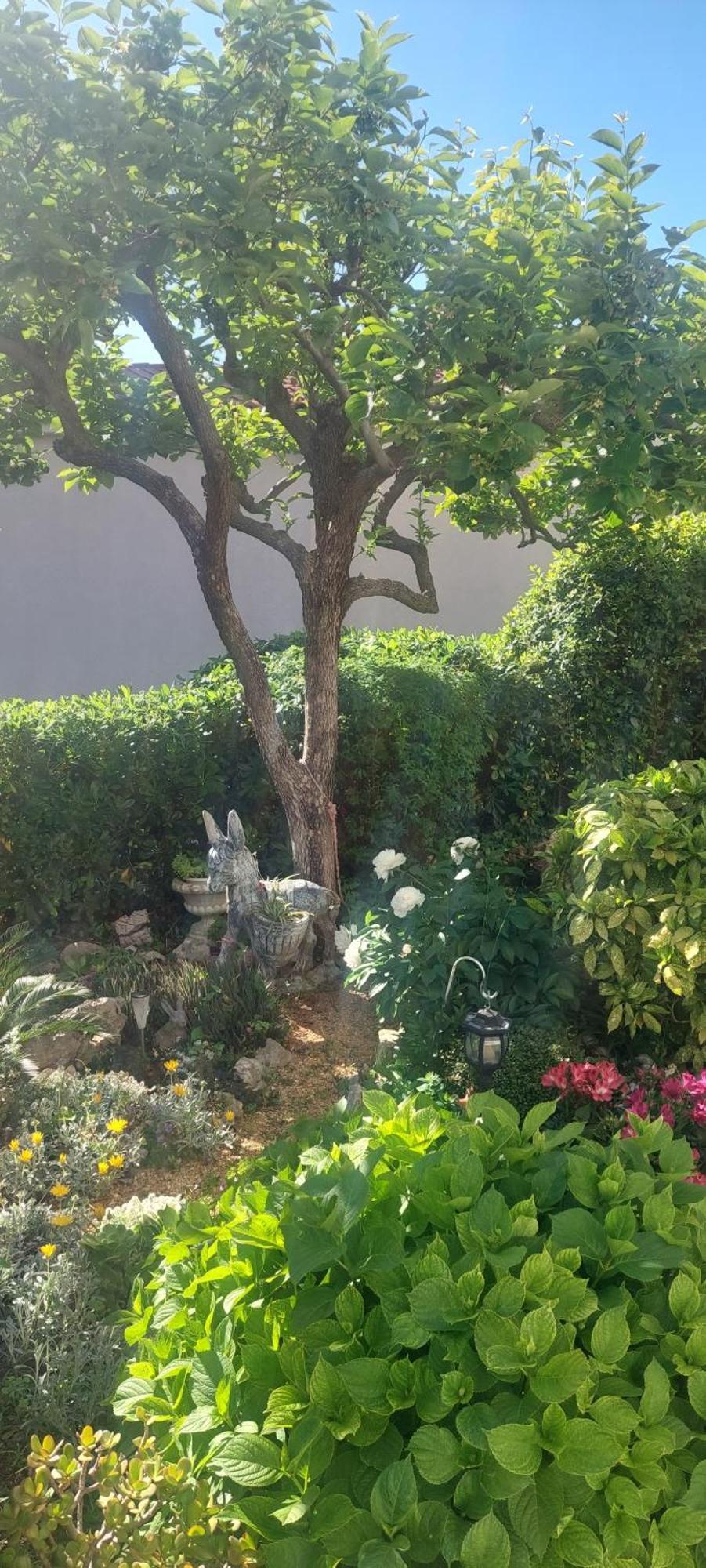 Palit Pahljina Apartments מראה חיצוני תמונה